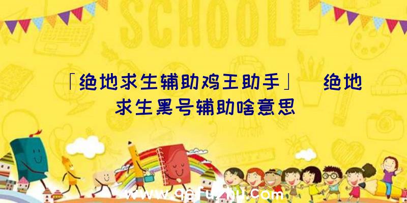 「绝地求生辅助鸡王助手」|绝地求生黑号辅助啥意思